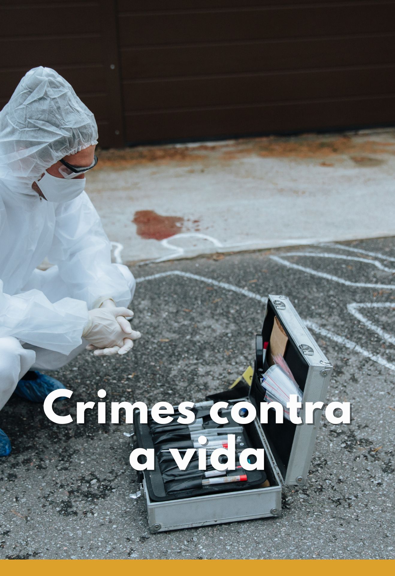 Crimes contra a vida